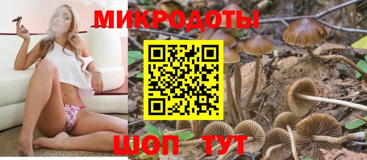 Полевской  Псилоцибиновые грибы MAGIC MUSHROOMS  Вход с VPN 