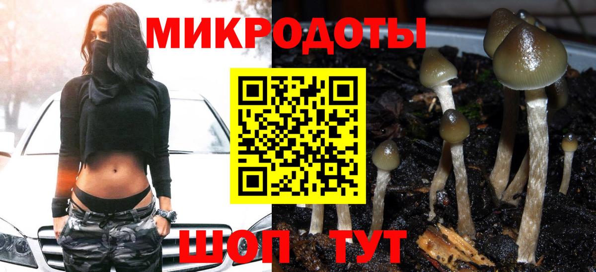 Псилоцибиновые грибы мицелий Полевской